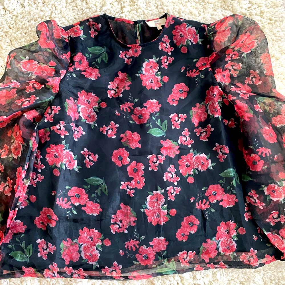 Pink Rose Sheer Blouse